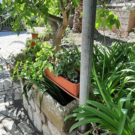 Apartman Ljubica Mali Losinj
