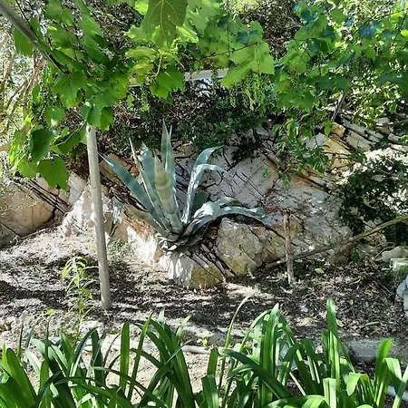 Appartamento Apartman Ljubica Mali Lošinj